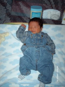 Seth Myles Netro 