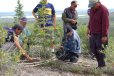Irwin Linklater demonstrating how to make a deadfall.