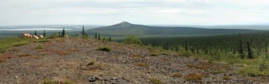 Diniizhoo Cultural Technology Camp